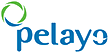 pelayo-logo-bloque